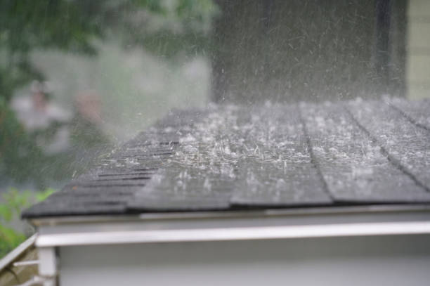 Best Cold Roofs  in Mount Sterling, IL